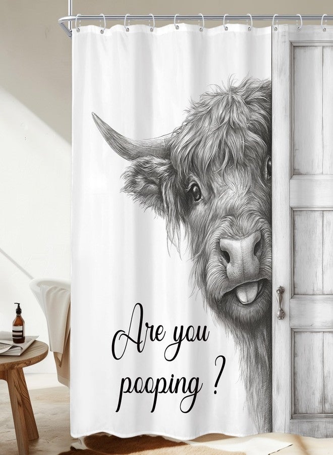 Newsely Funny Highland Cow Shower Curtain 72Wx72L Inch Black and White Rustic Farmhouse Wooden Cute Bathroom Set Humorous are You Pooping Waterproof Bath Decoration Accessories Home Decor - Image 1