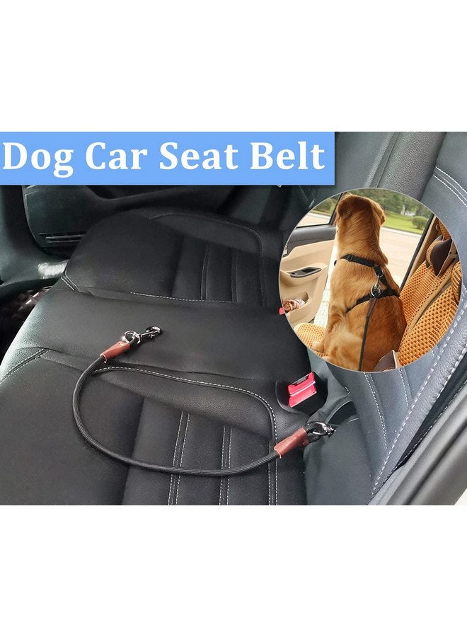 MayPaw MayPaw Training Tie Down- Short Dog Tether Indoor- Strong Rope Dog Car Leash Seat Belt- 5 Sizes Vehicle Safety Restraint Lead for Small Medium Large Dogs, 33 Inch - Image 2