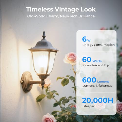 GvvooHome Dimmable Edison Bulbs, 4000K Daylight White, 6W Equivalent to 60 watt E26 LED Bulb, ST58 Vintage Light Bulbs, 600LM, 90+ CRI, E26 Base, Clear Glass, 6 Pack - Image 2