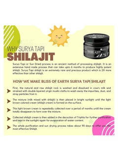 BLISS OF EARTH Bliss of Earth Surya Tapi Himalayan Shilajit Resin Sun Dried Premium Shilajeet 20gm  - Image 2