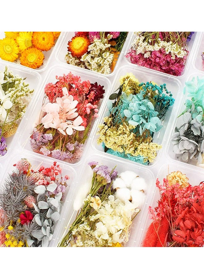 DIY Natural Dried Mixed Flowers Craft Accessories - Random 1 Box 17x12x3.5cm - Image 3