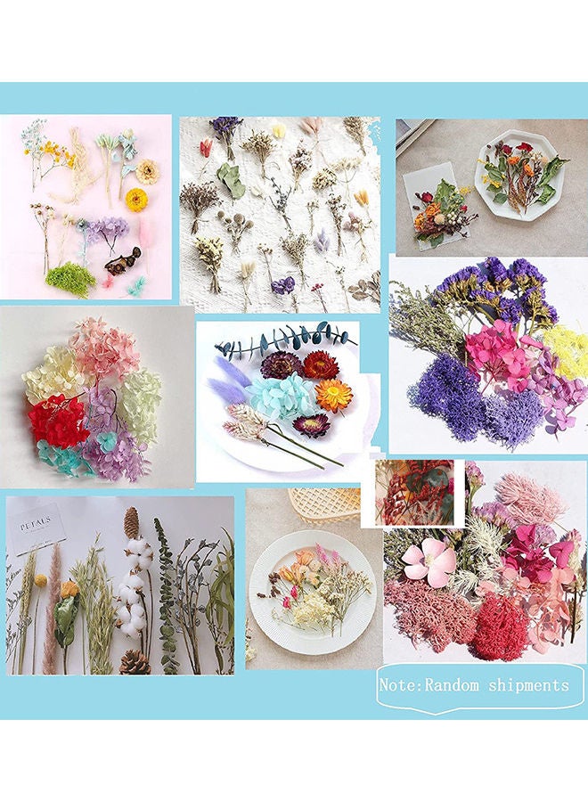 DIY Natural Dried Mixed Flowers Craft Accessories - Random 1 Box 17x12x3.5cm - Image 4