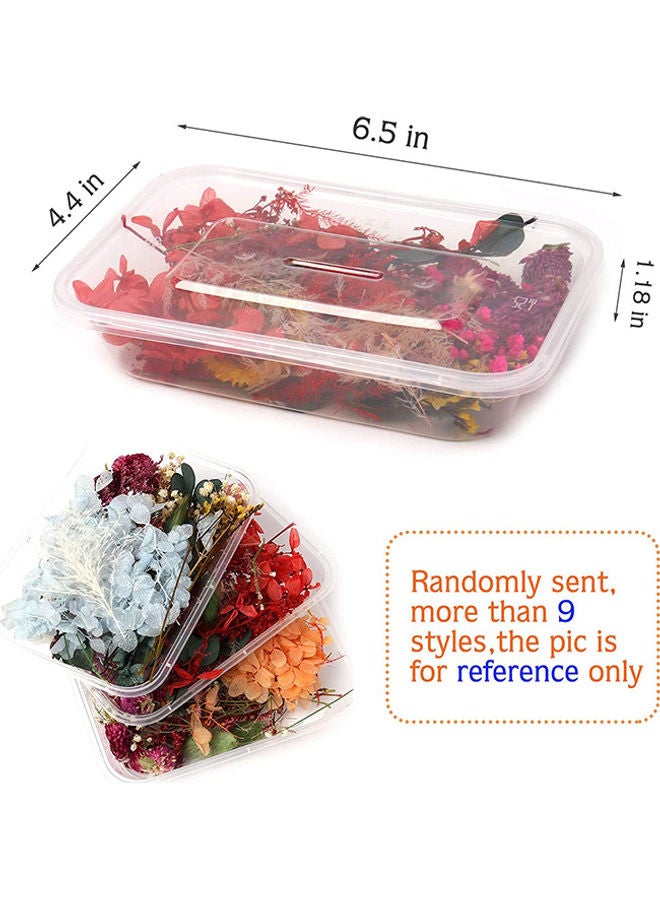 DIY Natural Dried Mixed Flowers Craft Accessories - Random 1 Box 17x12x3.5cm - Image 2