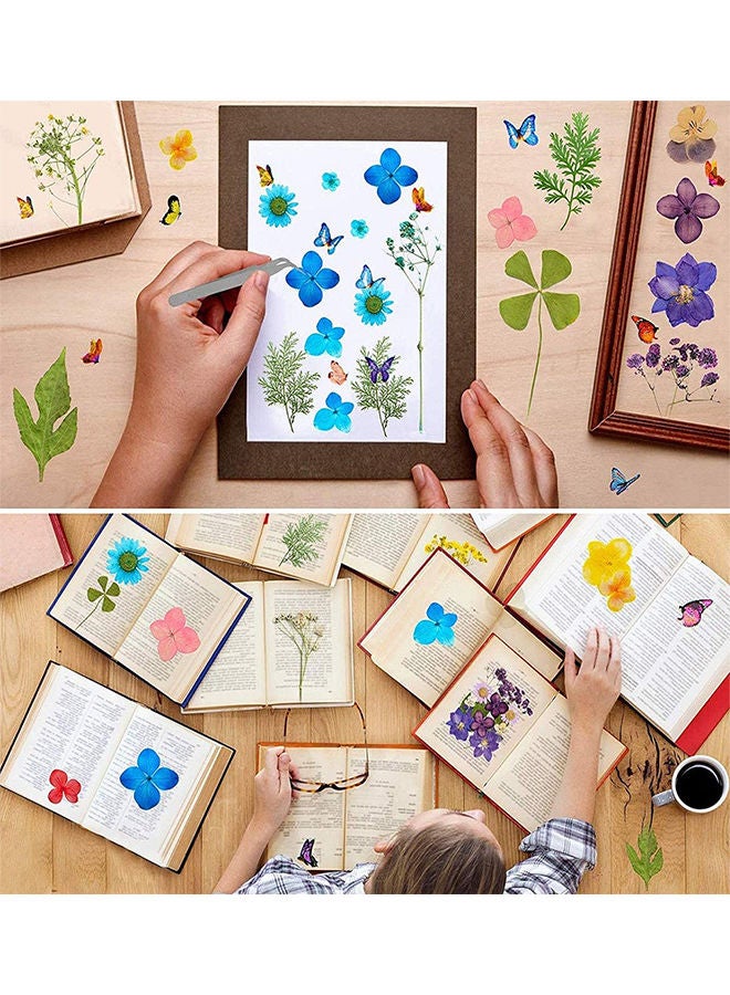 DIY Natural Dried Mixed Flowers Craft Accessories - Random 1 Box 17x12x3.5cm - Image 5