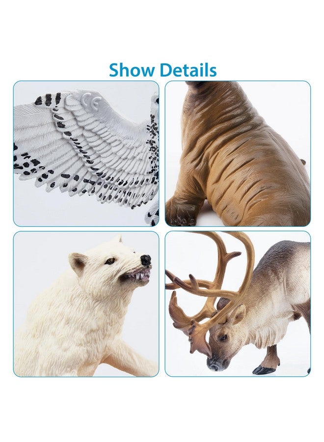 TOYMANY مجموعة تويماني 12 قطعة من تماثيل الحيوانات القطبية الكبيرة 4-7 بوصة، ألعاب حيوانات القطب الشمالي البلاستيكية، مجموعة ما قبل المدرسة تشمل دب قطبي، كاريبو، حيتان، فقمة، زينة كعكة، هدايا عيد الميلاد وعيد الميلاد للأطفال الصغار. - Image 2