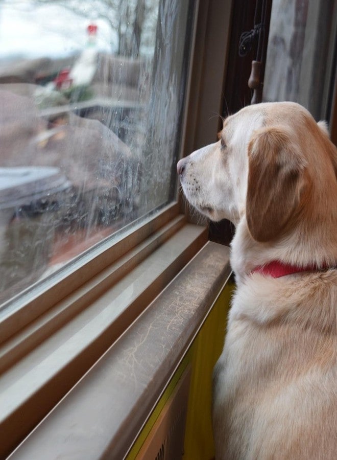 CODOHI 4in x 32.8ft Window Sill Protector, Door Protector from Dog Cat Scratching, Clear Sided Shield Protection Barrier Anti Cat Dog Scratching, Slobbering, and Clawing Furniture, Glass, Car Door - Image 4