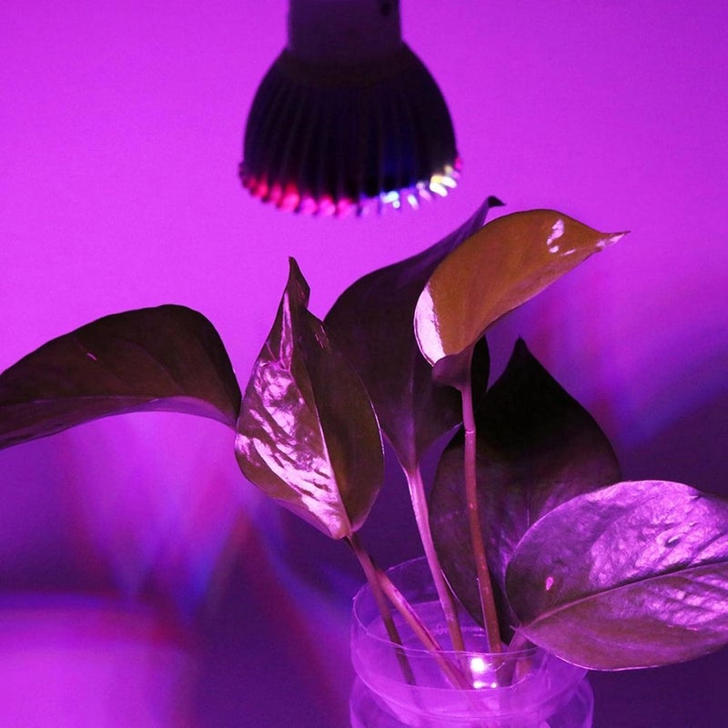 ويوبلز مصباح نمو للنباتات الداخلية، مصباح LED كامل الطيف بقوة 28 واط E14/GU10، ضوء شمسي اصطناعي لنمو أزهار الحدائق والبيوت الزجاجية والزراعة المائية (E14) - Image 2