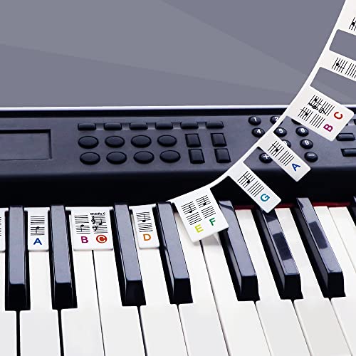 GICUNK Removable Piano Key Stickers Note Labels for 88 Key Full Size GICUNK Silicone Reusable Piano Keyboard Stickers for Beginners Comes with Box(Color) - Image 1