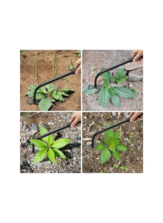 promass Gardening Hand Weeder Tools, Weeding Artifact Uprooting Weeding Tool, Durable Manganese Steel Hand Weeder Tool, Manual Multifunctional Weeders Gardening Tools for Yard and Garden (6 Teethes) - Image 5