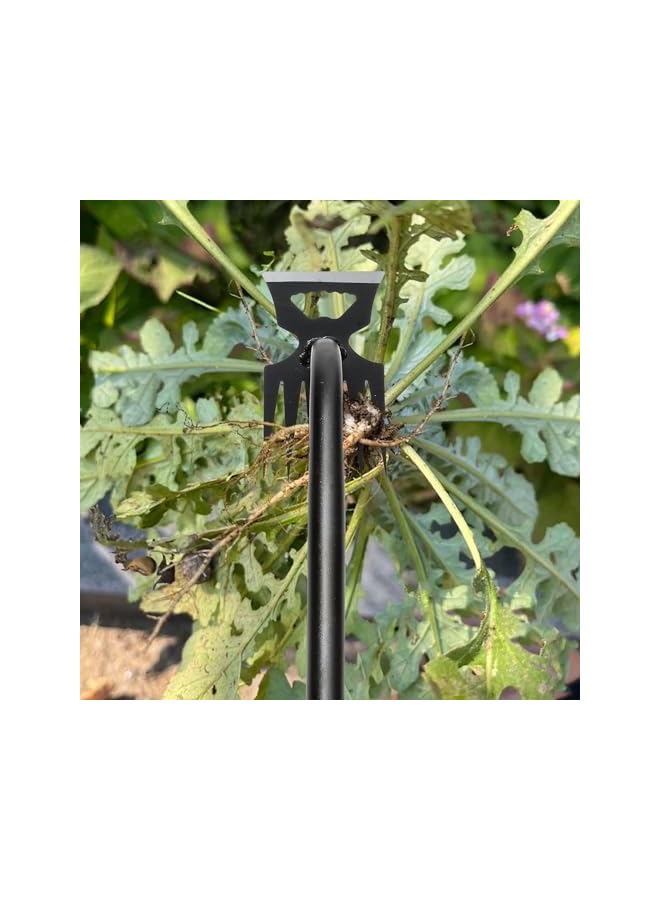 promass Gardening Hand Weeder Tools, Weeding Artifact Uprooting Weeding Tool, Durable Manganese Steel Hand Weeder Tool, Manual Multifunctional Weeders Gardening Tools for Yard and Garden (6 Teethes) - Image 4