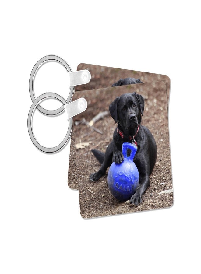3dRose, Black Labrador Retriever Pet Photo Dog Poses Favorite Ball Toy, set of 6 Key Chains - Image 1