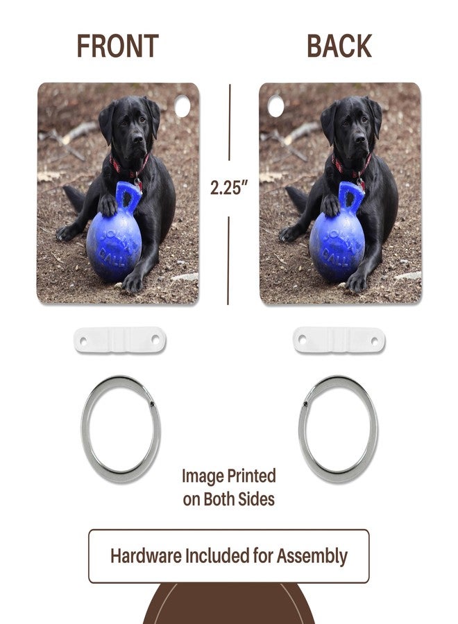 3dRose, Black Labrador Retriever Pet Photo Dog Poses Favorite Ball Toy, set of 6 Key Chains - Image 5