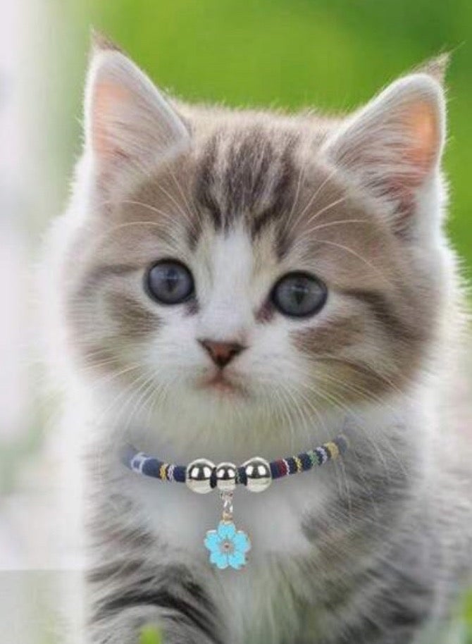 قلادة للحيوانات الأليفة على شكل زهرة - Image 2