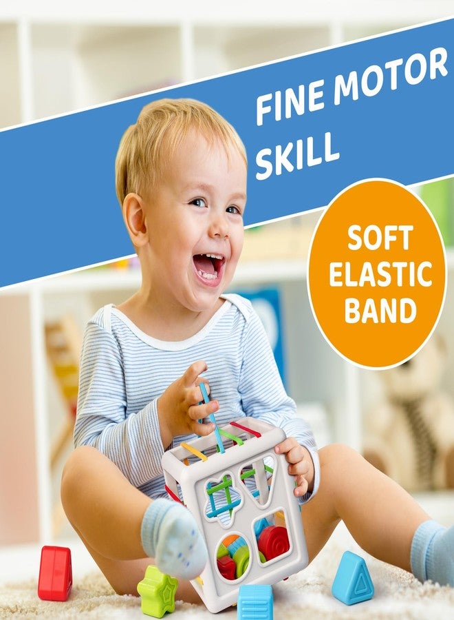 LiKee Shape Sorter Toys for 1+ Years Old, 8pcs Montessori Baby Blocks, Sensory Toddler Learning Toy for Fine Motor Skills, Infant Developmental Toys Gift for Boys Girls Ages 18+ Months - Image 3