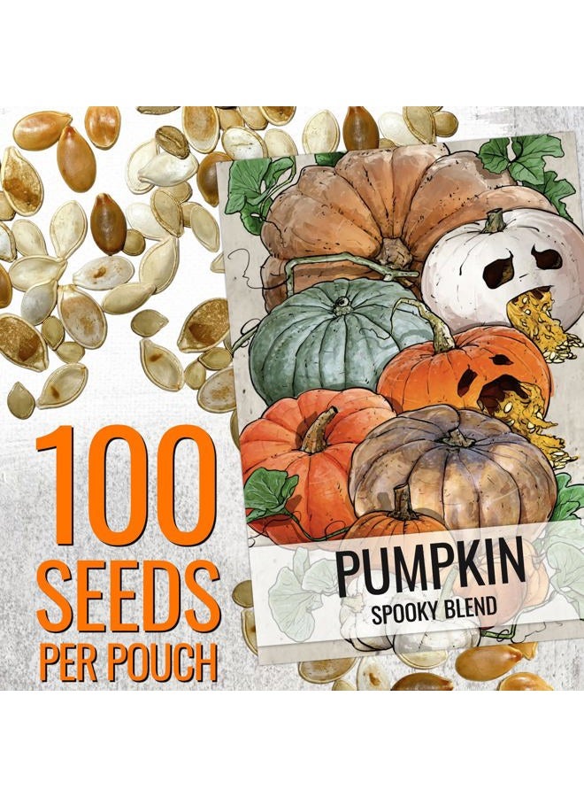 Seed Needs Pumpkin Seeds to Plant Specialty Spooky Blend |10+ Premium Varieties Lumina White, Baby Boo, Blue Jarrahdale, Cinderella & More! | Heirloom Non-GMO Untreated | Bulk - Image 3