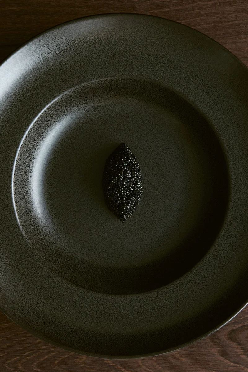 H&M 2-pack reactive-glaze deep plates