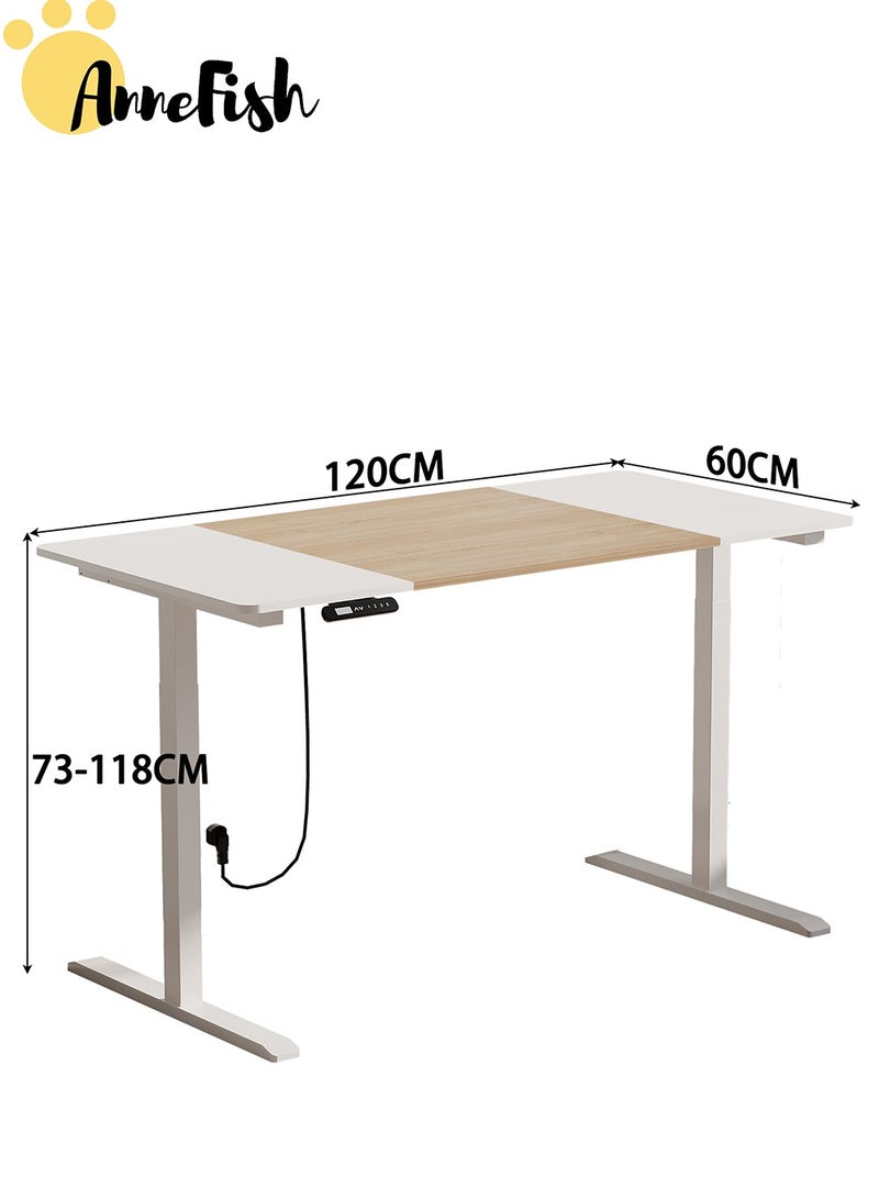 AnneFish 120*60*73-118cm Electric Height Adjustable Standing Desk Electric Sit Stand Up Down Computer Table Ergonomic Rising Modern Lift Motorized Gaming Desktop Workstation for Work Home Office White - Image 3