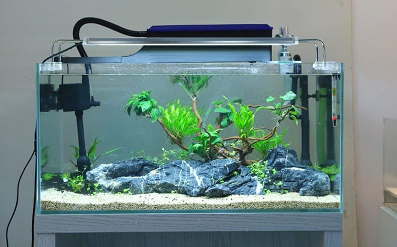 rizopets Wp-880F | 15W | 650L/Hr 3 in 1 Multi Functions Aquarium Top Filter with Free 1 Feet Sponge (Suits 25 Cm - 38 Cm Aquarium Fish Tank) - Image 2