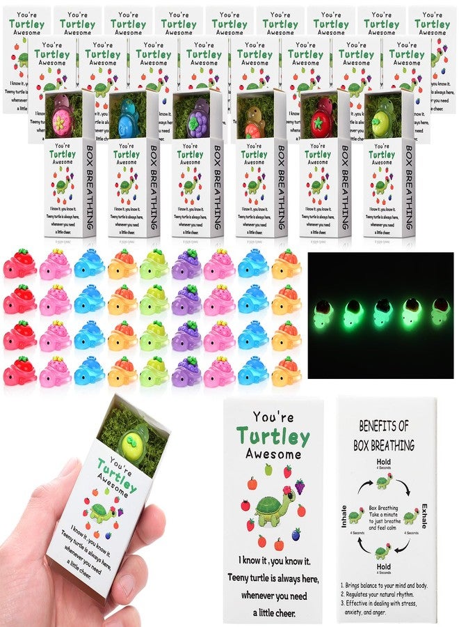 RoundFunny 36 Sets Employee Appreciation Gift Bulk You're Turtley Awesome Inspirational Employee Appreciation Thank You Gifts Resin Turtle Party Favors for Staff Coworkers Teacher - Image 1