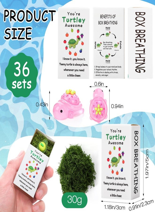 RoundFunny 36 Sets Employee Appreciation Gift Bulk You're Turtley Awesome Inspirational Employee Appreciation Thank You Gifts Resin Turtle Party Favors for Staff Coworkers Teacher - Image 4