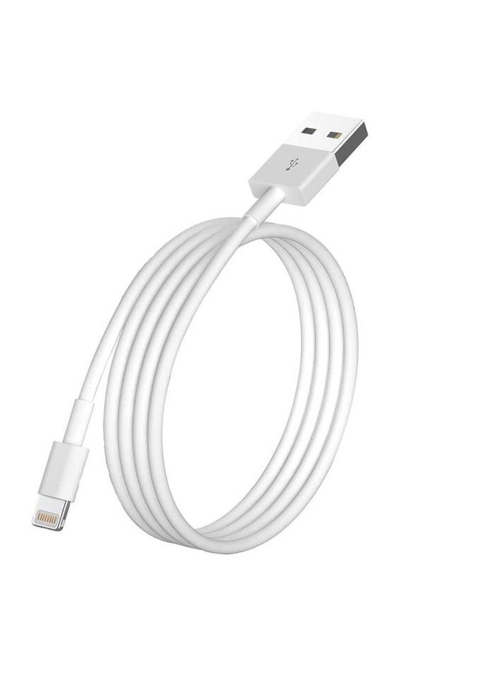 Panther Fast Charging Cable for iPhone