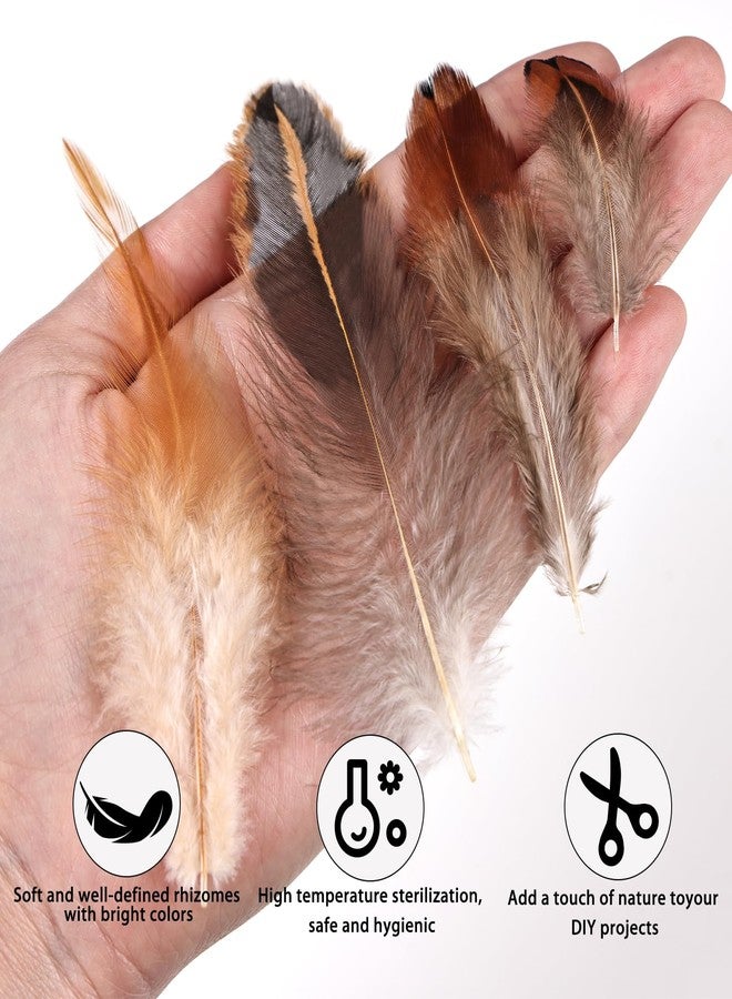THARAHT 120pcs Natural Feathers Small 4 Styles Bulk for DIY Crafts Hat Wedding Home Party Decoration Feathers - Image 3