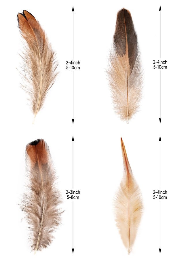 THARAHT 120pcs Natural Feathers Small 4 Styles Bulk for DIY Crafts Hat Wedding Home Party Decoration Feathers - Image 2