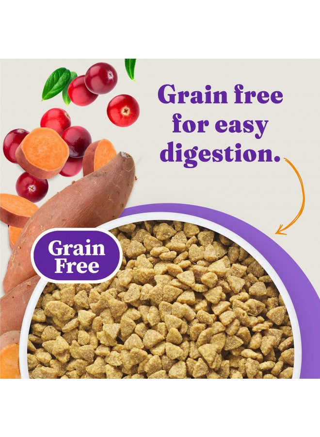 Halo Holistic Indoor Cat Food Dry, Grain Free Cage-free Chicken Recipe for healthy weight support, Complete Digestive Health, Dry Cat Food Bag, Adult Formula, 6-lb Bag