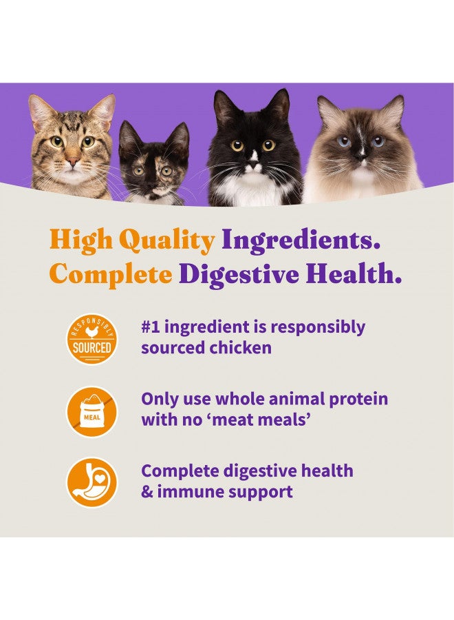 Halo Holistic Indoor Cat Food Dry, Grain Free Cage-free Chicken Recipe for healthy weight support, Complete Digestive Health, Dry Cat Food Bag, Adult Formula, 6-lb Bag