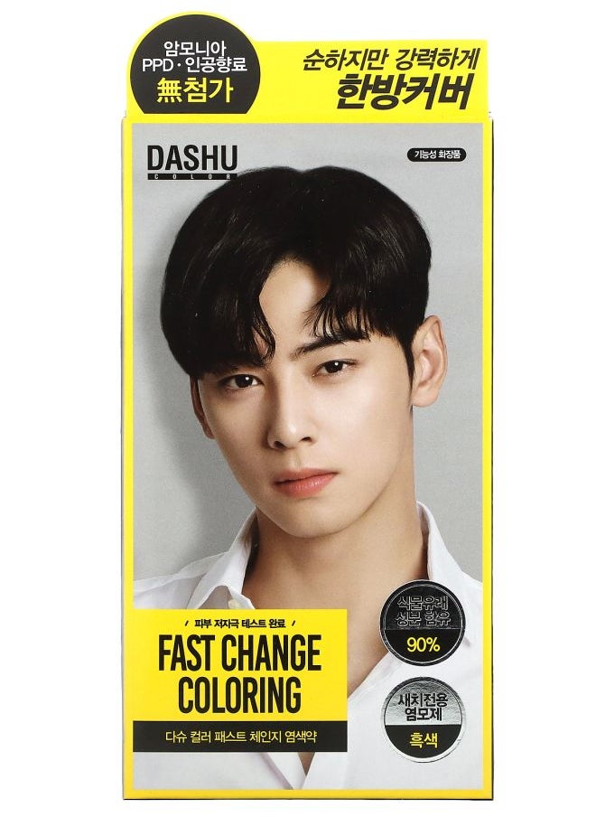 Dashu - Fast Change Coloring Real Black  1 Application Kit - Image 1