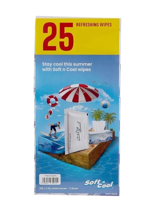 Soft N Cool 2 Ply Tissues 5 Boxes With Wet Wipes