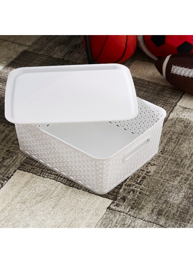 Home Box Spectra Royal Basket with Lid - Image 2