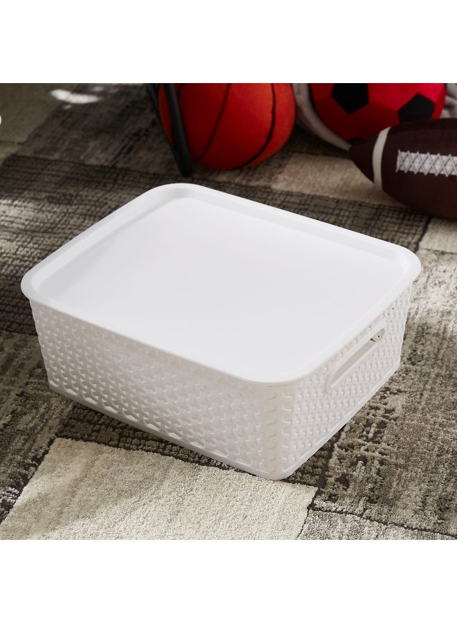 Home Box Spectra Royal Basket with Lid - Image 1