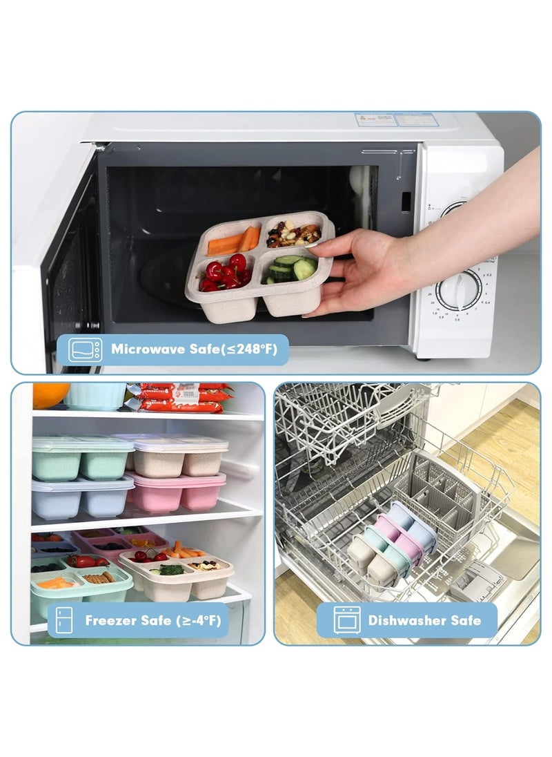 Clazkit Clazkit 4 Compartment Storage Boxes Dry Fruits Containers Fridge Organiser Storage Containers for Kitchen Masala Box for Kitchen Lunch Box for Kids Adults Pack of 4 Multicolor Polypropylene  - Image 5