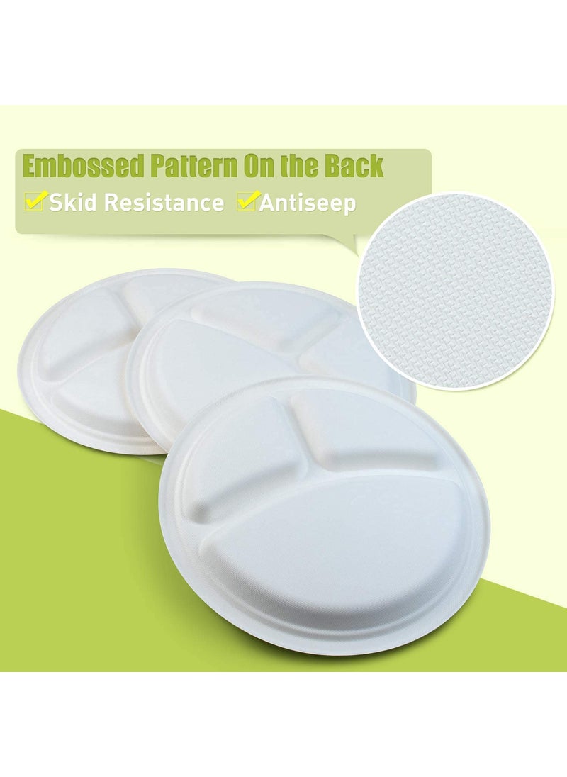 SANWALSA SANWALSA Set of 2510 inch Diameter Off White Paper Plates with 3 Section Biodegradable Eco Friendly Leak Proof One time UsageDisposable  - Image 4