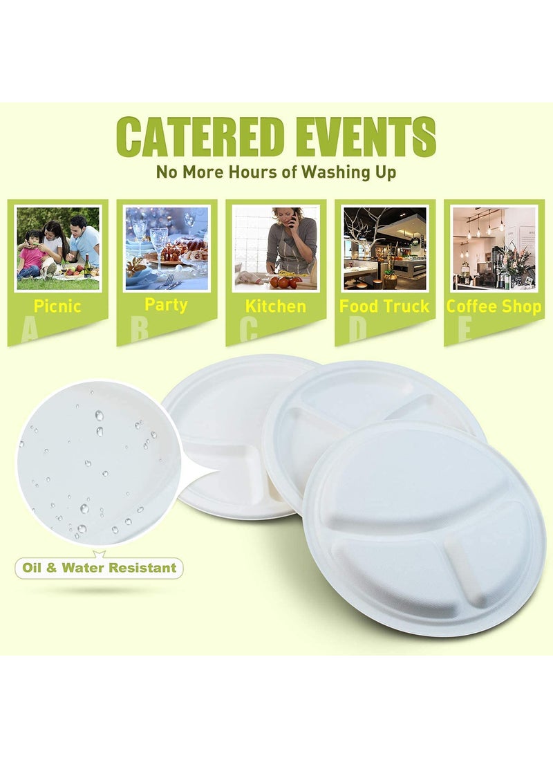 SANWALSA SANWALSA Set of 2510 inch Diameter Off White Paper Plates with 3 Section Biodegradable Eco Friendly Leak Proof One time UsageDisposable  - Image 5