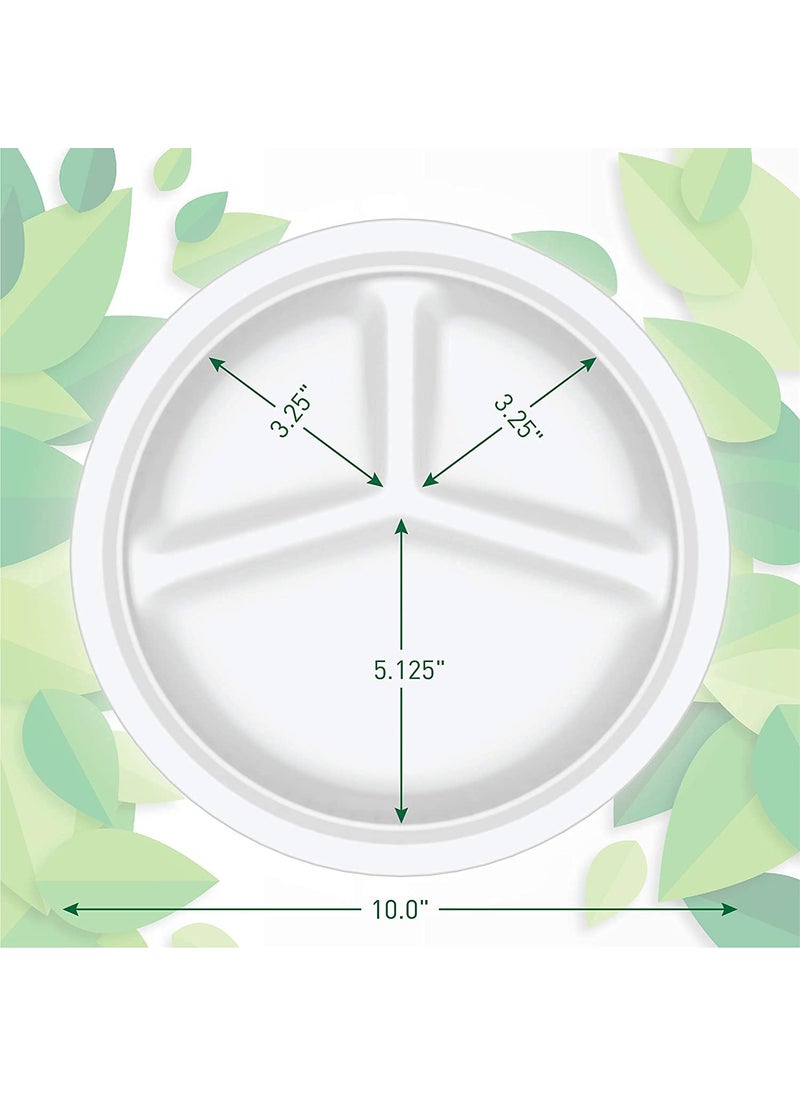 SANWALSA SANWALSA Set of 2510 inch Diameter Off White Paper Plates with 3 Section Biodegradable Eco Friendly Leak Proof One time UsageDisposable  - Image 3
