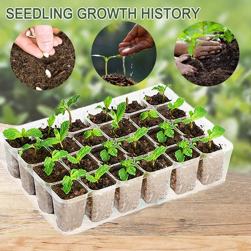 ويوبلز مجموعة من 5 صواني بذور متعددة الاستخدامات لزراعة الشتلات، وأحواض إنبات البذور، ومعدات إنبات النباتات. - Image 3