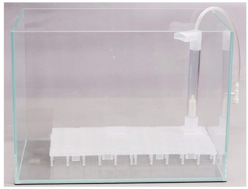 CORISRX BEST OF YOUR LIFESTYLE Undergravel Filter 11.8" X 5.9" Fish Tank Under Gravel Filter - Image 3