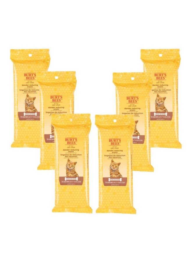 بيرتس بيز مناديل بيرتس بيز الطبيعية لإزالة قشرة الرأس من القطط | مناديل للعناية بالقطط والقطط الصغيرة | ٥٠ منديلًا - عبوة من ٦ قطع (FF7372CP6) - Image 1