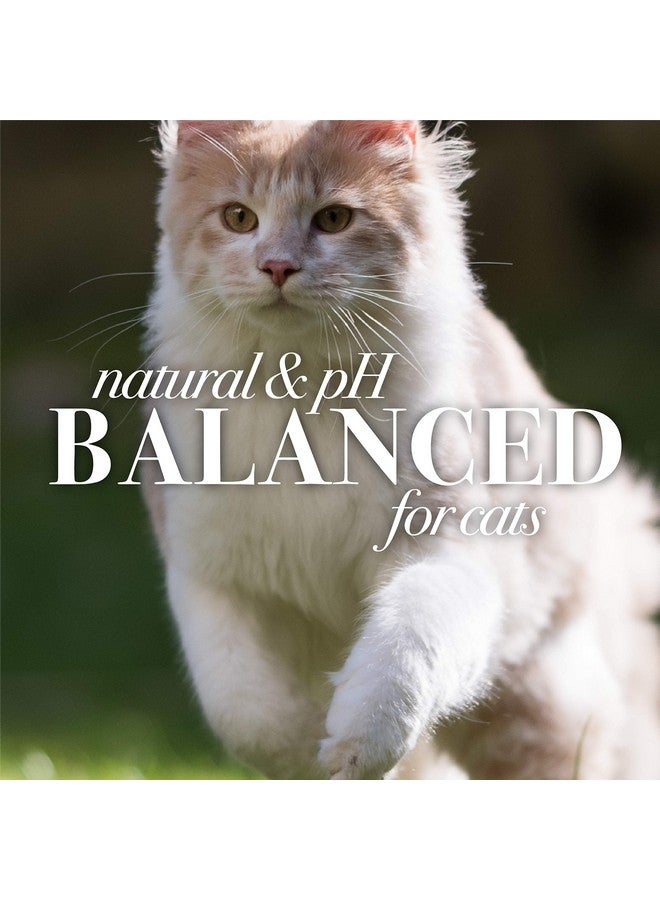 بيرتس بيز مناديل بيرتس بيز الطبيعية لإزالة قشرة الرأس من القطط | مناديل للعناية بالقطط والقطط الصغيرة | ٥٠ منديلًا - عبوة من ٦ قطع (FF7372CP6) - Image 5