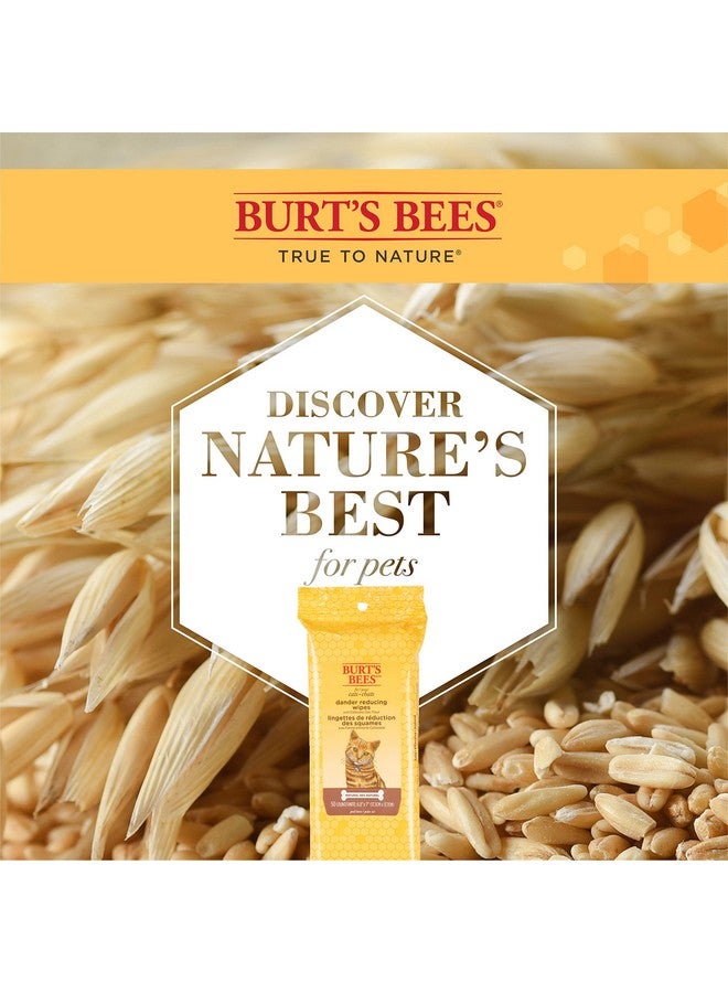 بيرتس بيز مناديل بيرتس بيز الطبيعية لإزالة قشرة الرأس من القطط | مناديل للعناية بالقطط والقطط الصغيرة | ٥٠ منديلًا - عبوة من ٦ قطع (FF7372CP6) - Image 4