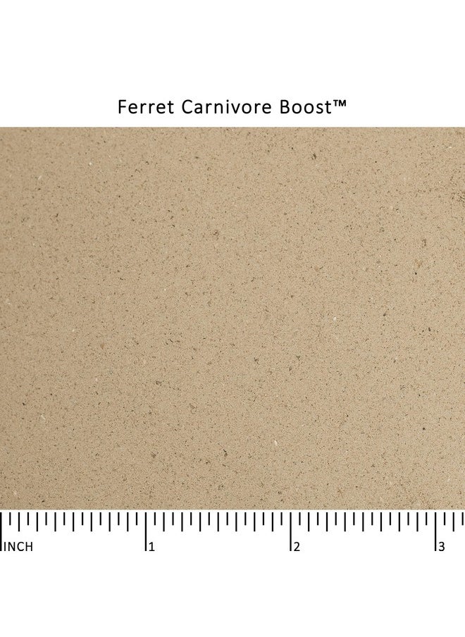 Wysong - Wysong Ferret Carnivore Boost™ - Image 1
