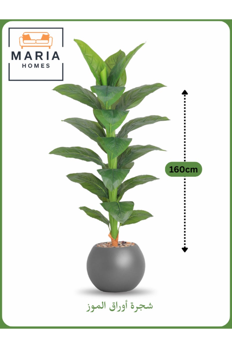ماريا شجرة موز اصطناعية بأوراق 160 سم – نبات داخلي مزخرف مع وعاء رمادي - Image 2
