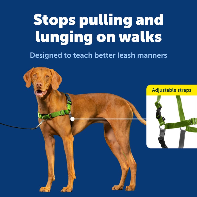 PetSafe Easy Walk No-Pull Dog Harness - The Ultimate Harness to Help Stop Pulling - Take Control & Teach Better Leash Manners - Helps Prevent Pets Pulling on Walks, Medium, Apple Green/Gray - Image 3