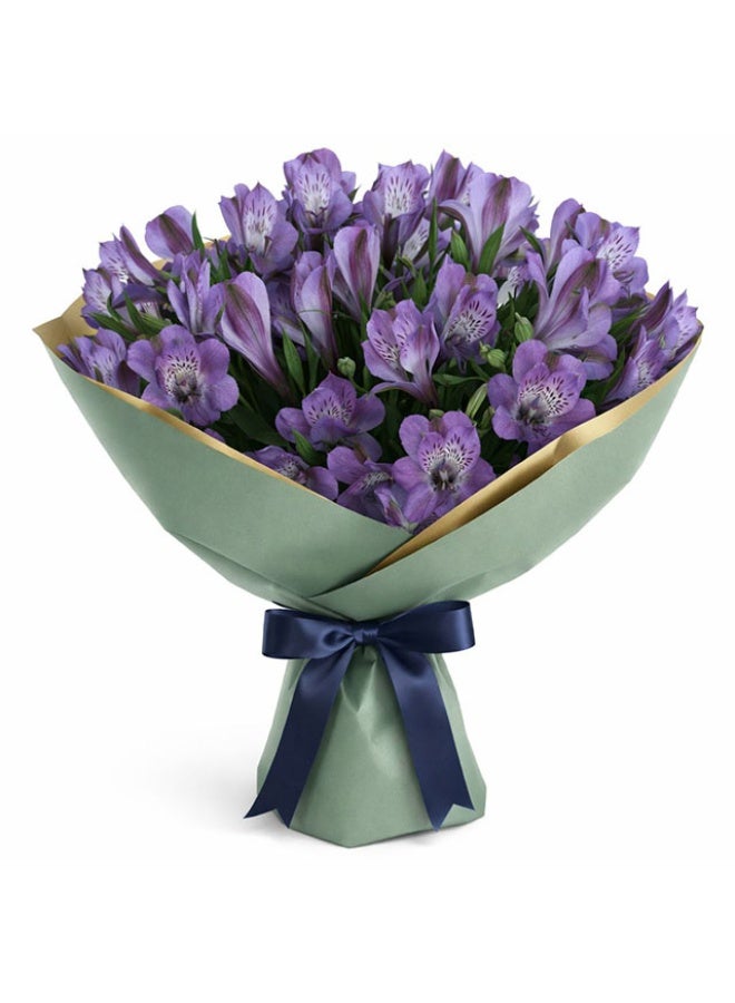 Alstroemeria, Purple - 12 Stems, Kenya