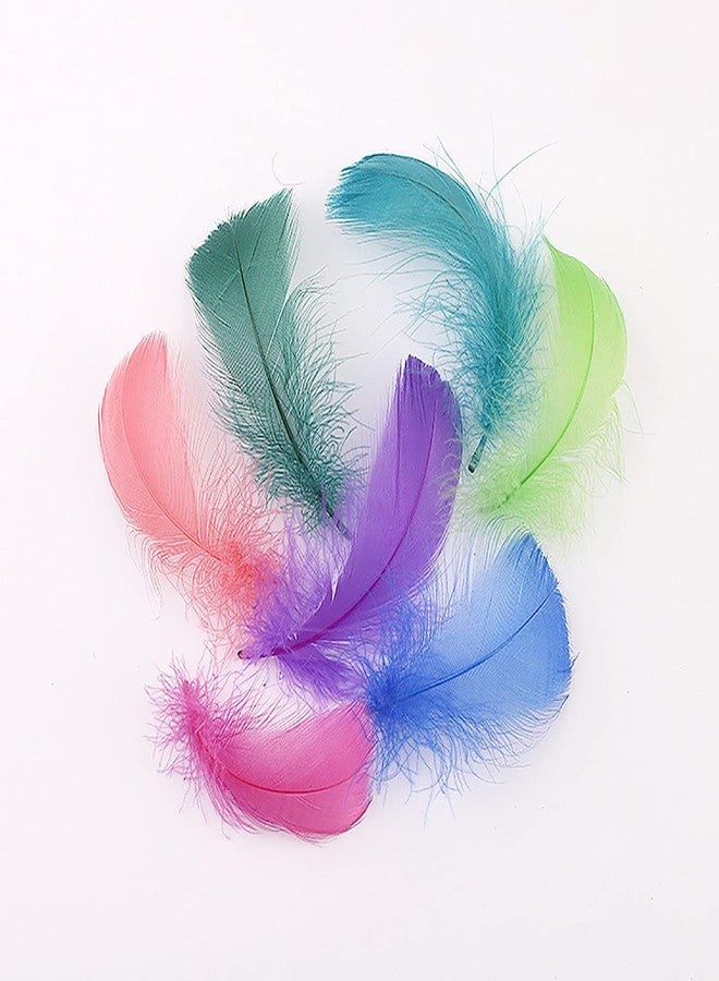 Flying feathers ٨٠٠ قطعة من الريش الملون، ٢٠ لونًا، ريش حرفي، ٣-٥ بوصات، ألوان قوس قزح متنوعة للأطفال، زينة يدوية لحفلات الزفاف، ريش طبيعي - Image 4