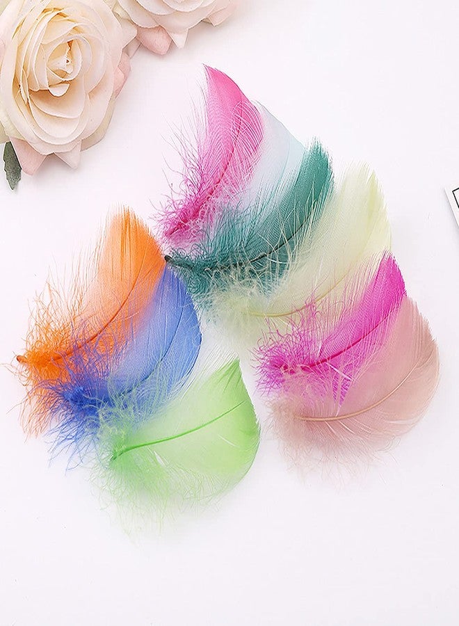 Flying feathers ٨٠٠ قطعة من الريش الملون، ٢٠ لونًا، ريش حرفي، ٣-٥ بوصات، ألوان قوس قزح متنوعة للأطفال، زينة يدوية لحفلات الزفاف، ريش طبيعي - Image 5