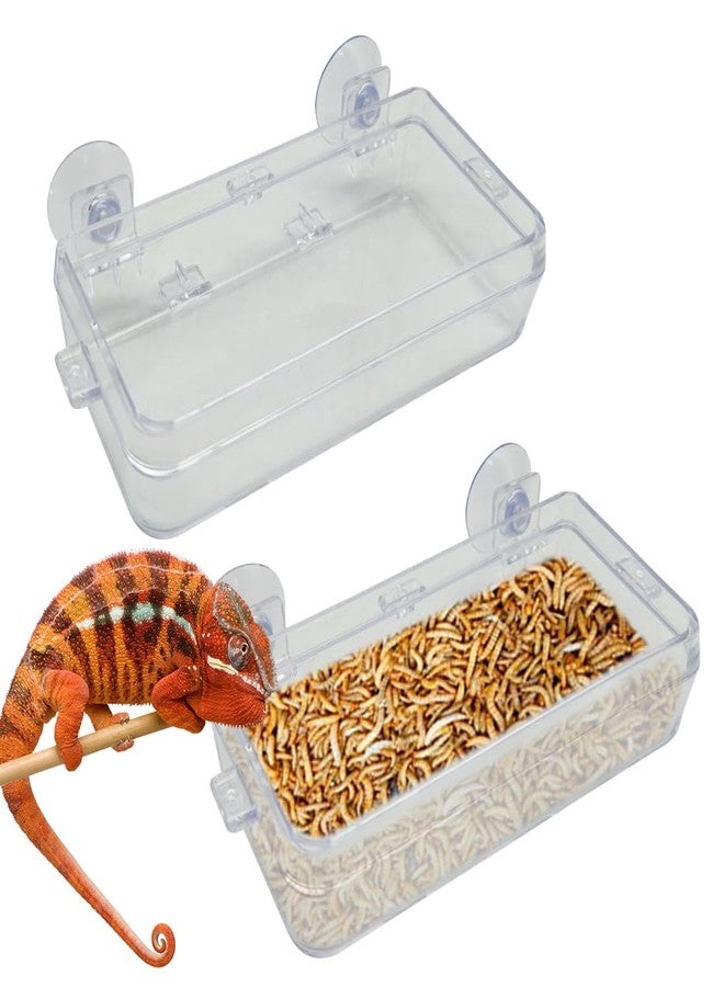APlayfulBee Reptile Feeder Chameleon Bowl 2 Pcs Anti-Escape Food Dish Bowl with Suction Cup for Chameleon Iguana Lizard Reptile Food and Water Feeding (White, M) - Image 1