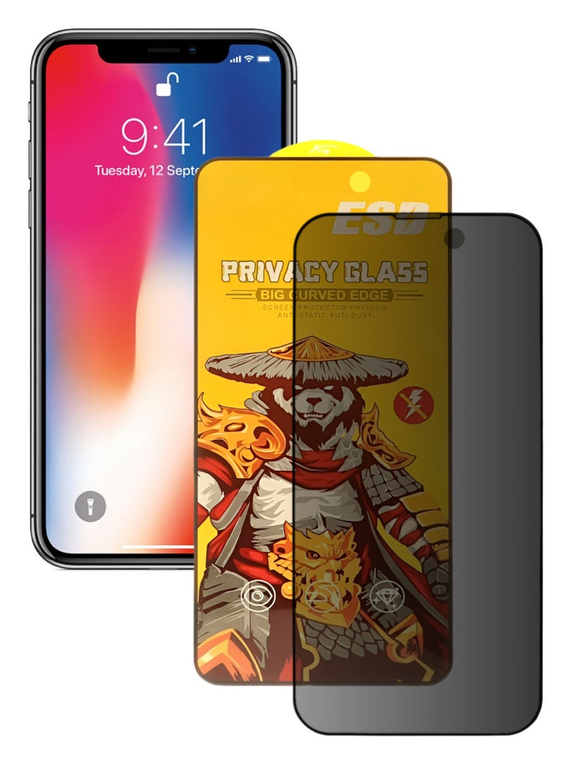 ESD Tempered Dustproof Privacy Glass Screen Protector Compatible For iPhone X - Image 1
